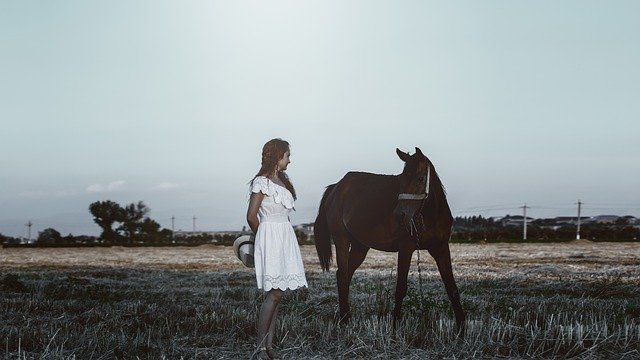 Um passatempo, ou o que significa ter o seu próprio cavalo